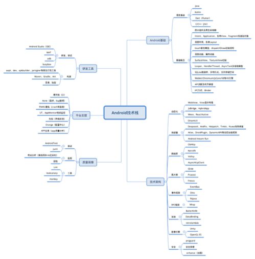 10 知識(shí)圖譜開(kāi)放下載,讓你的學(xué)習(xí)效率提升5倍 右腦 開(kāi)發(fā)套餐